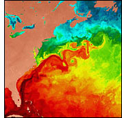 Gulf Stream