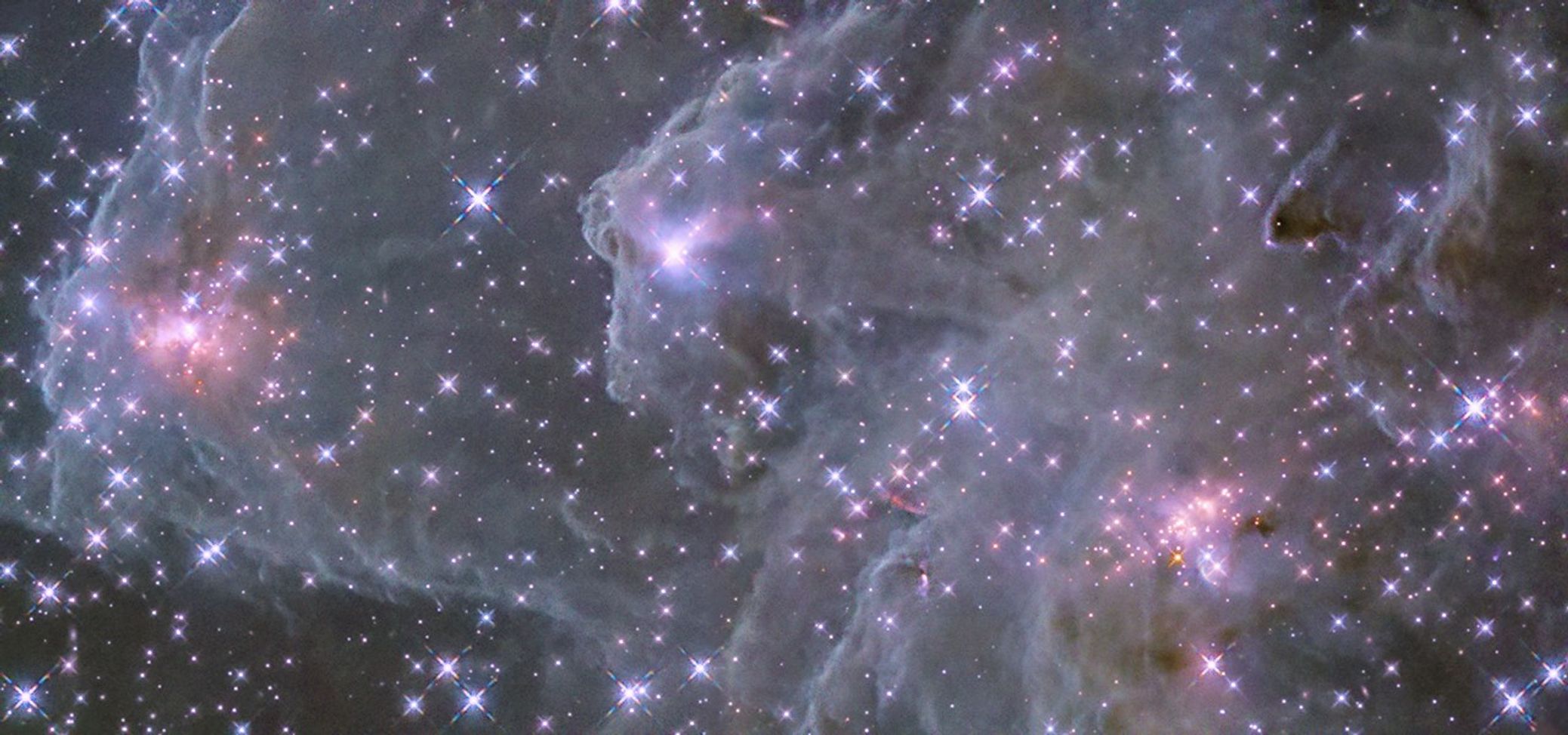 Against the dark background of space, pale, misty clouds of gas and dust are liberally sprinkled with blue and pink stars. Some bright pink patches of clustered stars are visible, as are dark brown knots of dust.