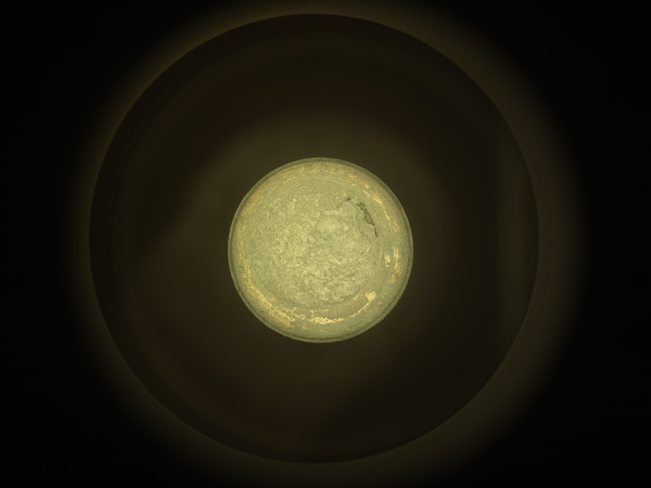 A color photograph shows a bright yellowish-tan circle in the middle of the frame, surrounded by a very dark brown-gray background. Inside the circle, steaks of gold line the farthest edge, like veins in an ore deposit. The center part of the circle is uneven, looking like an orbital view of a tiny, rocky planet. In the two o’clock position on the circle, a shadow or depression resembles a perched bird, facing to the left.